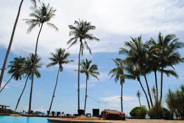 Tropical beach scene with tall palm trees, lounge chairs, and a pool under a bright blue sky. A perfect setting for relaxation, vacation, and exotic getaway.
