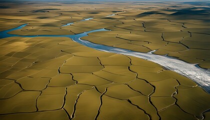 Aerial View of River Flowing Through Fields