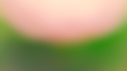 Abstract blurred green background with a pink spot.