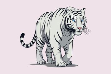 white tiger vector illustration