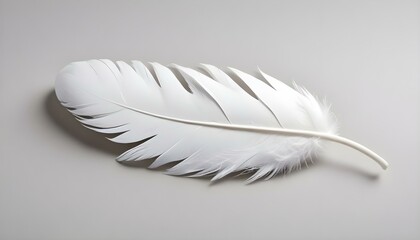Obraz premium An elegant white feather lies on a gray surface, displaying its delicate details in a macro shot.