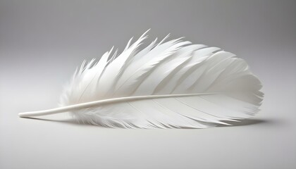 Obraz premium A pristine white feather rests gracefully, highlighting the softness against a gentle gray backdrop.