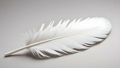 Obraz premium A beautiful, isolated white feather rests softly against a neutral, gray backdrop.