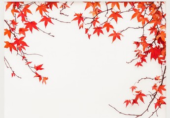 Vibrant autumn leaves framing a white wall