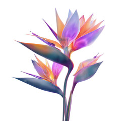 Vibrant Bird Paradise Flowers With