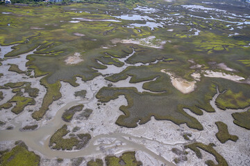 Salt water marsh