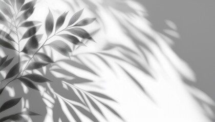 soft shadows isolated on on empty white background overlay brush of leaves shadows generative ai