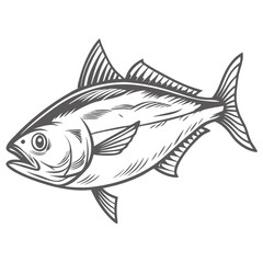 Lesser Amberjack Seriola Fasciata Fish Line Art