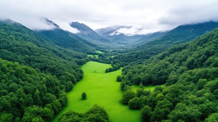 Lush valley nestled between towering mountains.  A verdant landscape of forested hills and a meadow