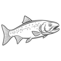 Bull Trout Line Art Illustration, Salvelinus Confluentus
