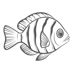 Four Stripe Damselfish Line Art Illustration