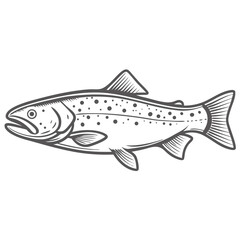 Dolly Varden Fish Line Art Illustration