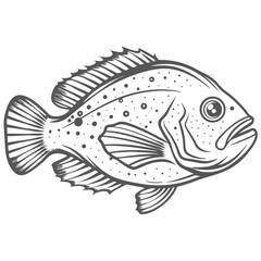 Freckled Hawkfish Line Art Illustration