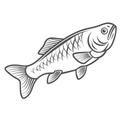 Golden Mahseer Fish Line Art Illustration