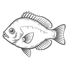 Longear Sunfish Line Art Illustration
