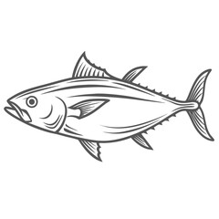 Longtail Tuna Fish Vector Illustration