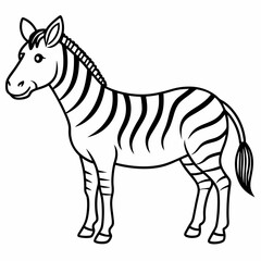 Fototapeta premium Black and White Zebra Line Art Illustration