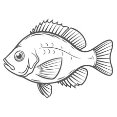 Redbreast Sunfish Line Art Illustration