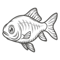 Soldierfish Line Art Illustration, Bigscale Fish