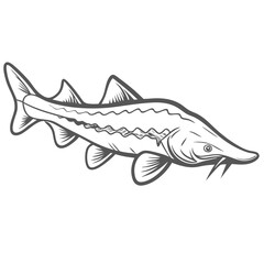 White Sturgeon Line Art Vector Illustration