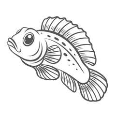 Starry Blenny Fish Line Art Illustration
