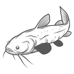 Ameiurus Catus White Catfish Line Art Illustration