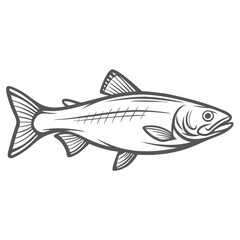 Mountain Whitefish Line Art Illustration