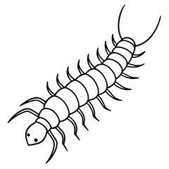 lobster vector illustration