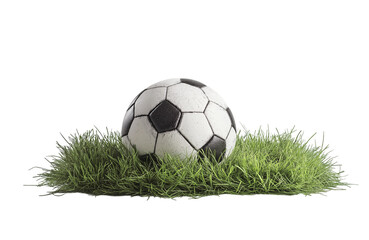 Fototapeta premium soccer ball in goal with green backgroung
