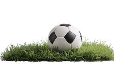 Obraz premium soccer ball in goal with green backgroung