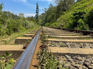 A train track is shown in a lush green forest