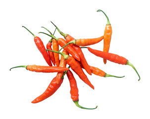 fresh red hot chili peppers isolated