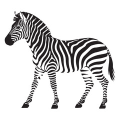 A zebra Vector Black silhouettes. with white background art illustration