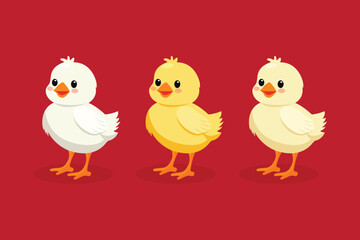 Chicken set flat vector illustration isolated on red background.