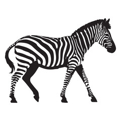A zebra Vector Black silhouettes. with white background art illustration