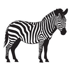 A zebra Vector Black silhouettes. with white background art illustration