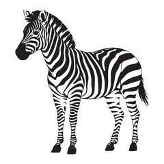 A zebra Vector Black silhouettes. with white background art illustration