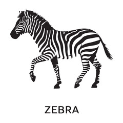 A zebra Vector Black silhouettes. with white background art illustration