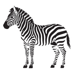 A zebra Vector Black silhouettes. with white background art illustration