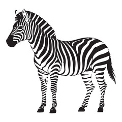 A zebra Vector Black silhouettes. with white background art illustration