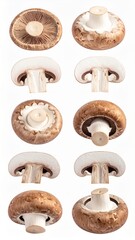 Assorted Fresh Mushrooms Variety with Clipping Path on Isolated White Background