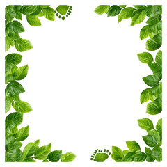 Fototapeta premium Fresh Green Leaves Frame with Natural Texture for Design Projects, isolated on transparent background.