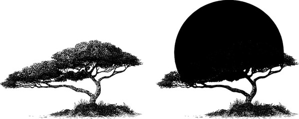 Glowing sunset illustration with silhouetted trees for graphic design