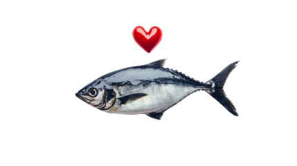 Fresh Sardine Fish Isolated on White Background for Food Product Advertising