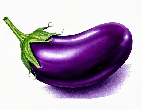 recommend clip art: Purple eggplant aubergine watercolor illustration isolated on white transparent background 