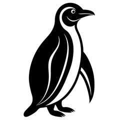 penguin vector on tranparent background