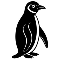 penguin vector on tranparent background