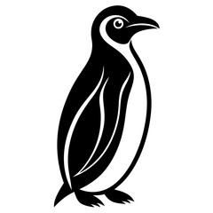 penguin vector on tranparent background