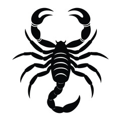 scorpion silhouette isolated on white