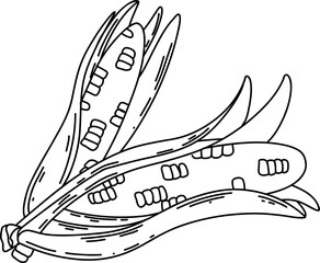Corn Line Art Illustration – Hand Drawn Vegetable Sketch